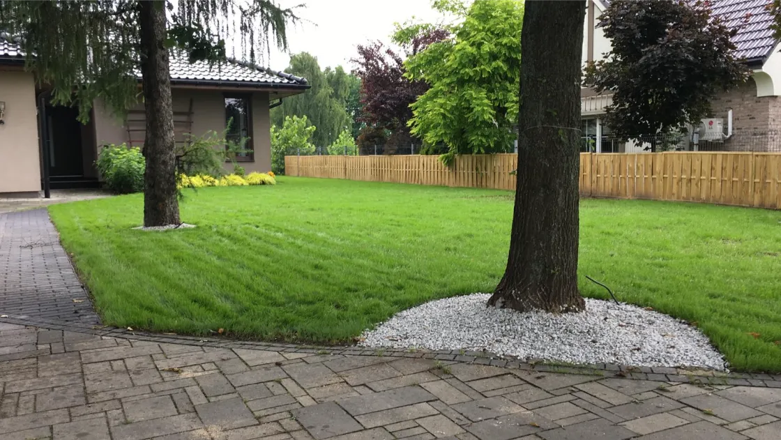 Równo rozłożona trawa z rolki na trawniku przed domem z obramowaniami z białego żwiru i chodnikiem