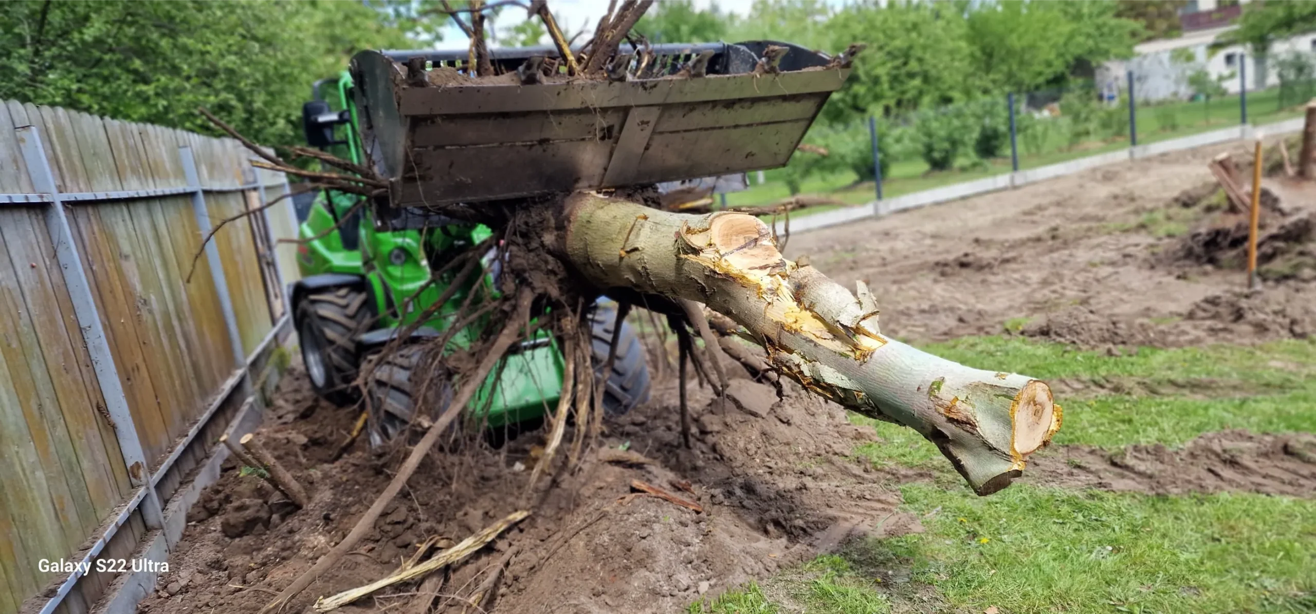 Usługi ładowarką – ładowarka unosząca wyrwany pień drzewa na tle wyrównanego terenu