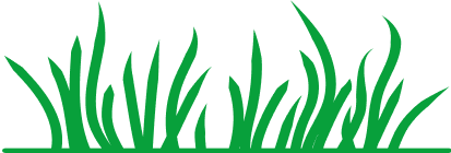 dekoracja